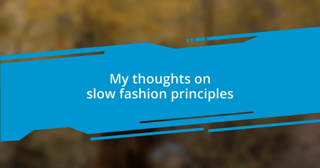 My thoughts on slow fashion principles