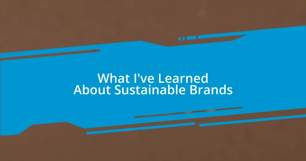 What I’ve Learned About Sustainable Brands