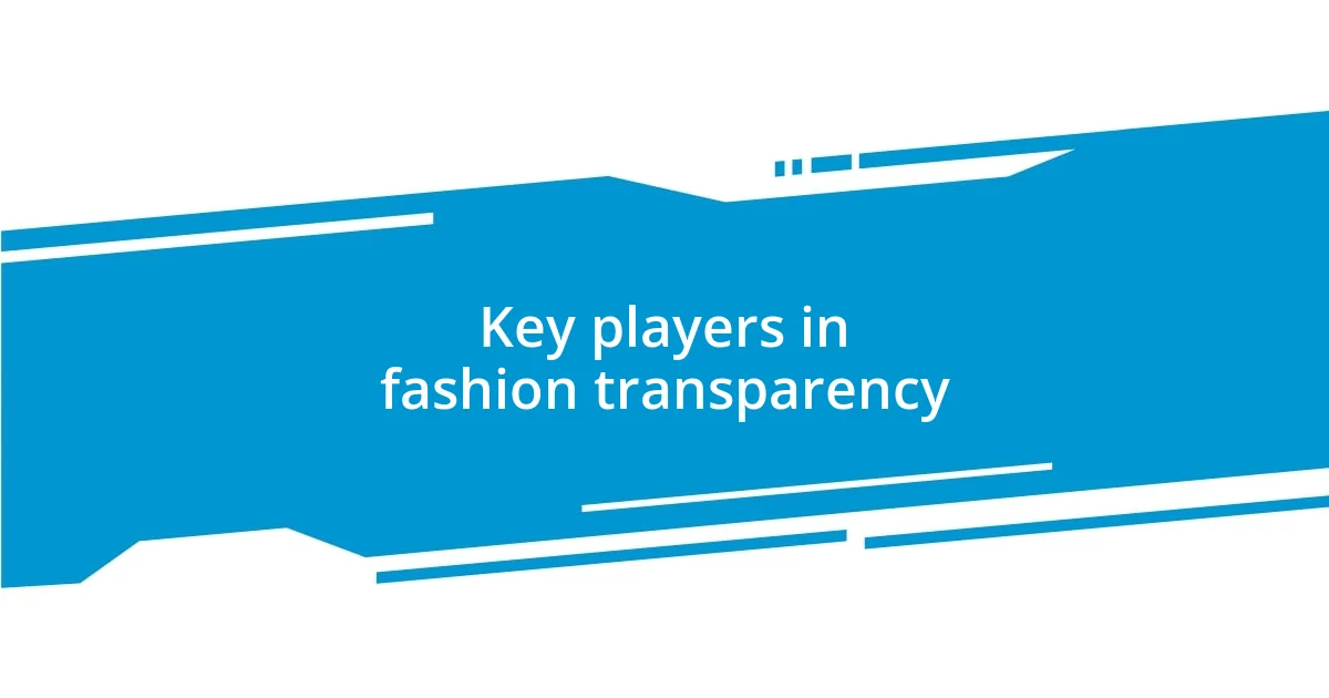 Key players in fashion transparency